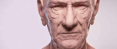 Head Study - Speed Sculpt